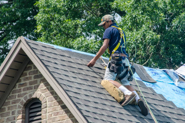 Best Roof Repair Services  in Wake Forest, NC